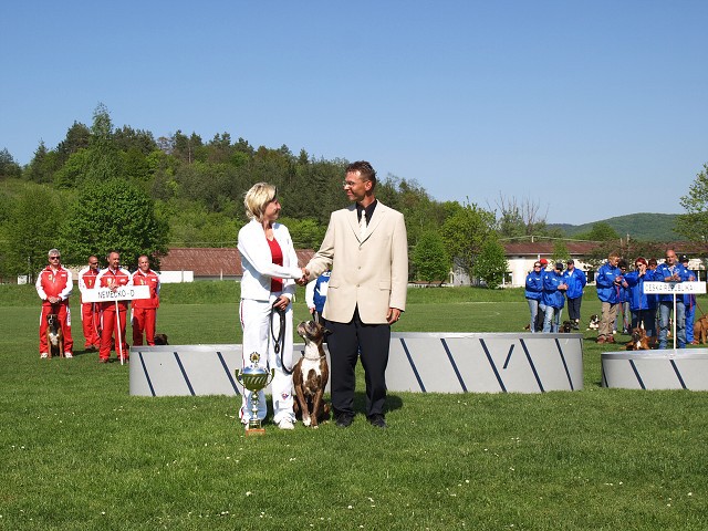 www.atibox.net * www.euroboxer.eu * www.boxergenealogia.eu